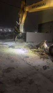 Сдам в аренду